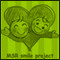 MSR smile project